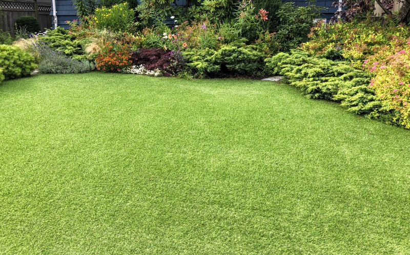 Healthy Commercial Turf