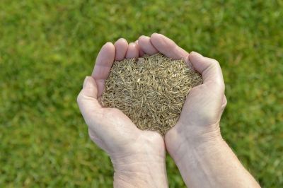 Products For Commercial Lawn Cares in use